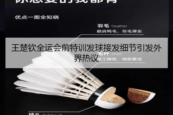 王楚钦全运会前特训发球接发细节引发外界热议